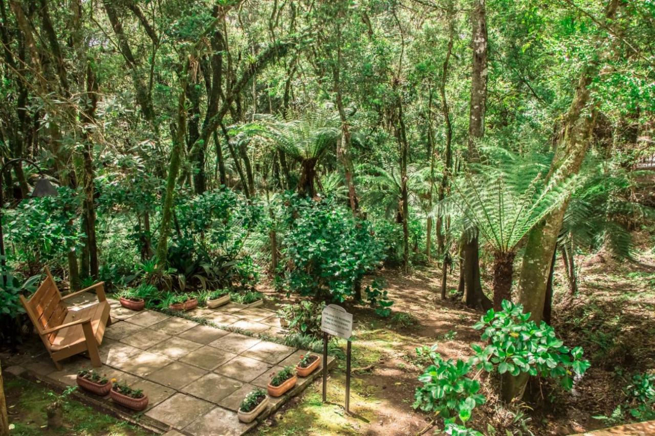 Hotel Pousada Cozumel Sierra Канела Екстер'єр фото